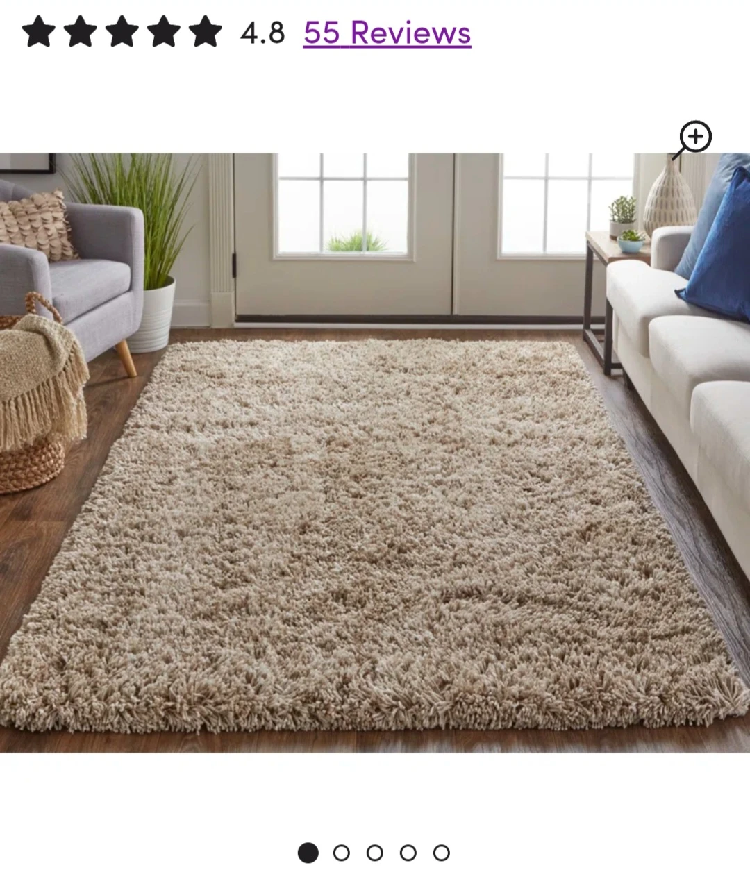 Shag area rug 5'x7' in Oatmeal/Beige