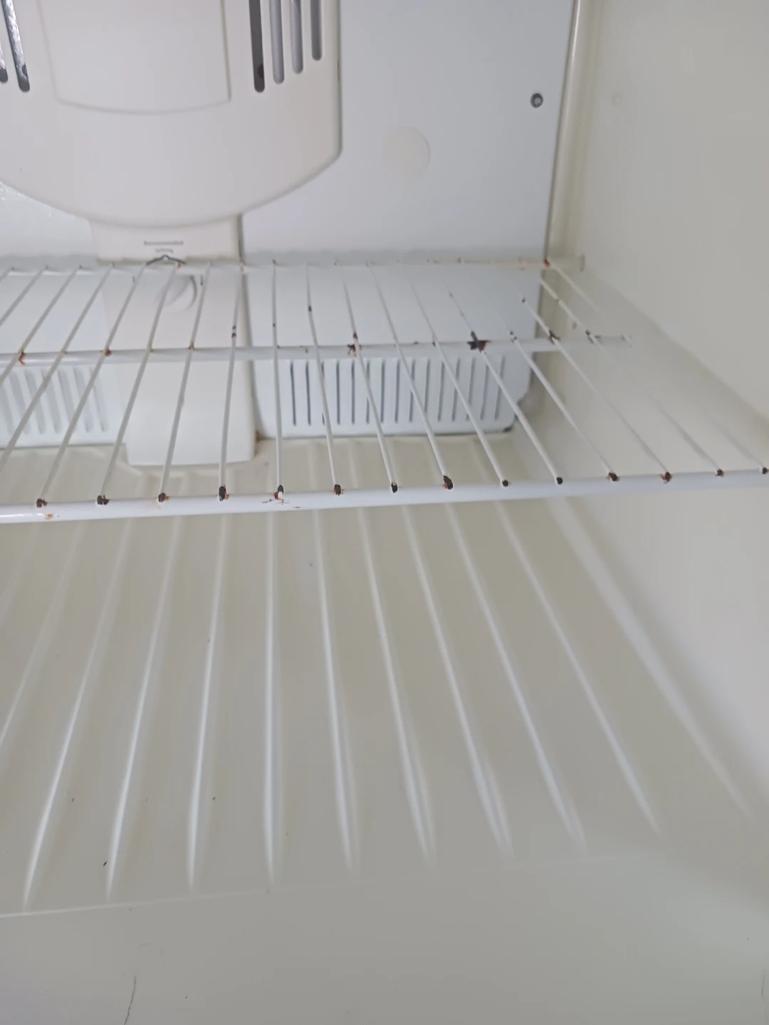 Kenmore Refrigerator - photo 4