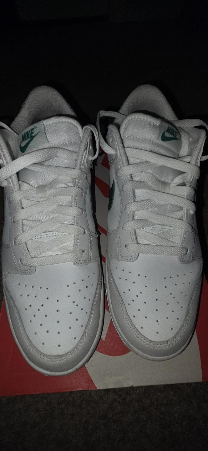 Nike dunk low retro summit Malachite size 10