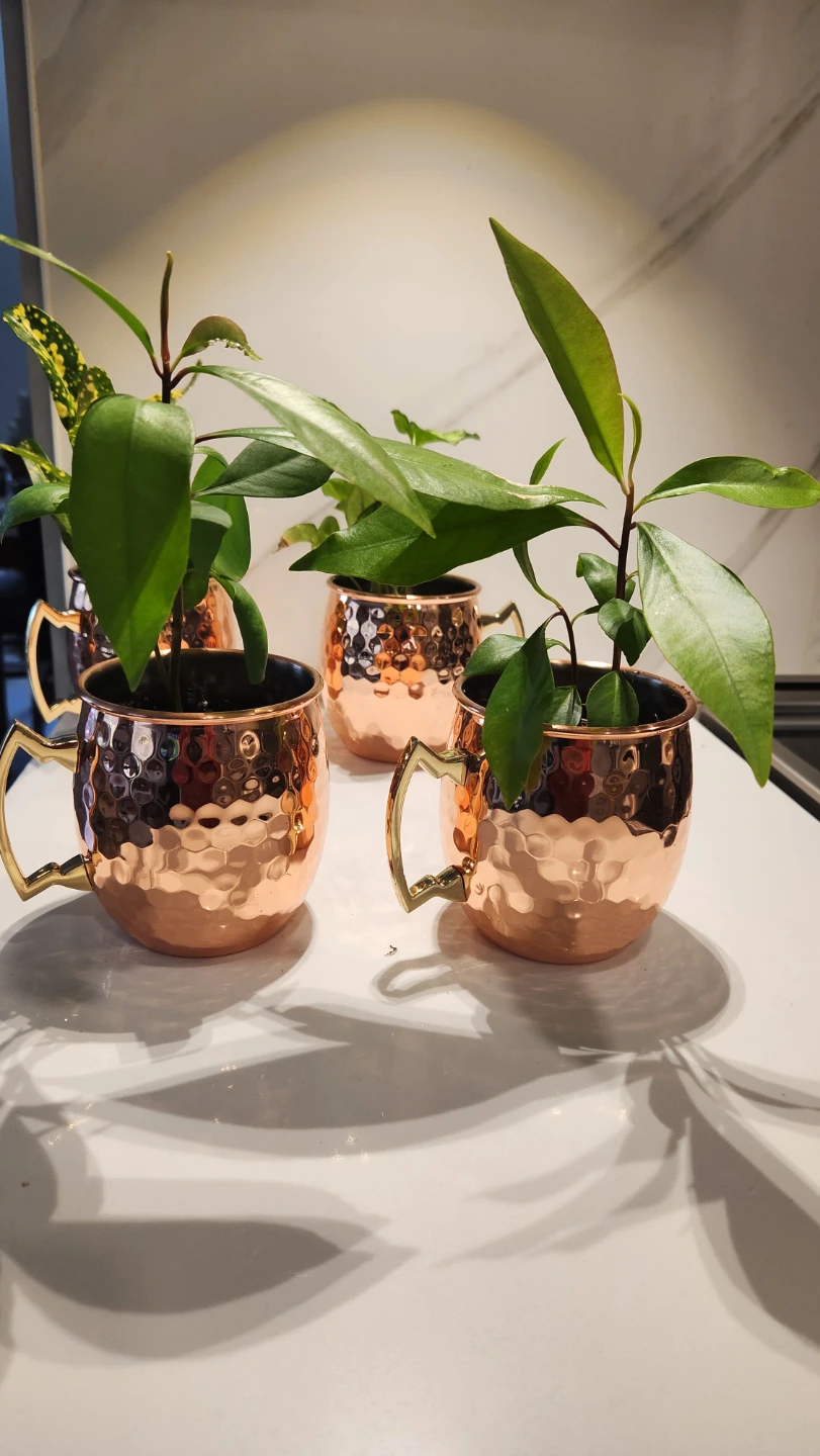 Copper mug planters with plants - photo 3