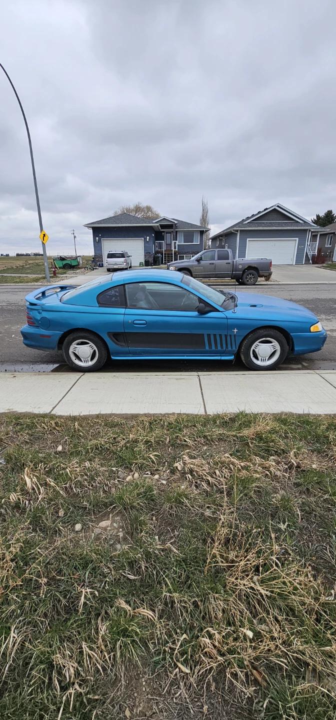 Blue Ford Mustang