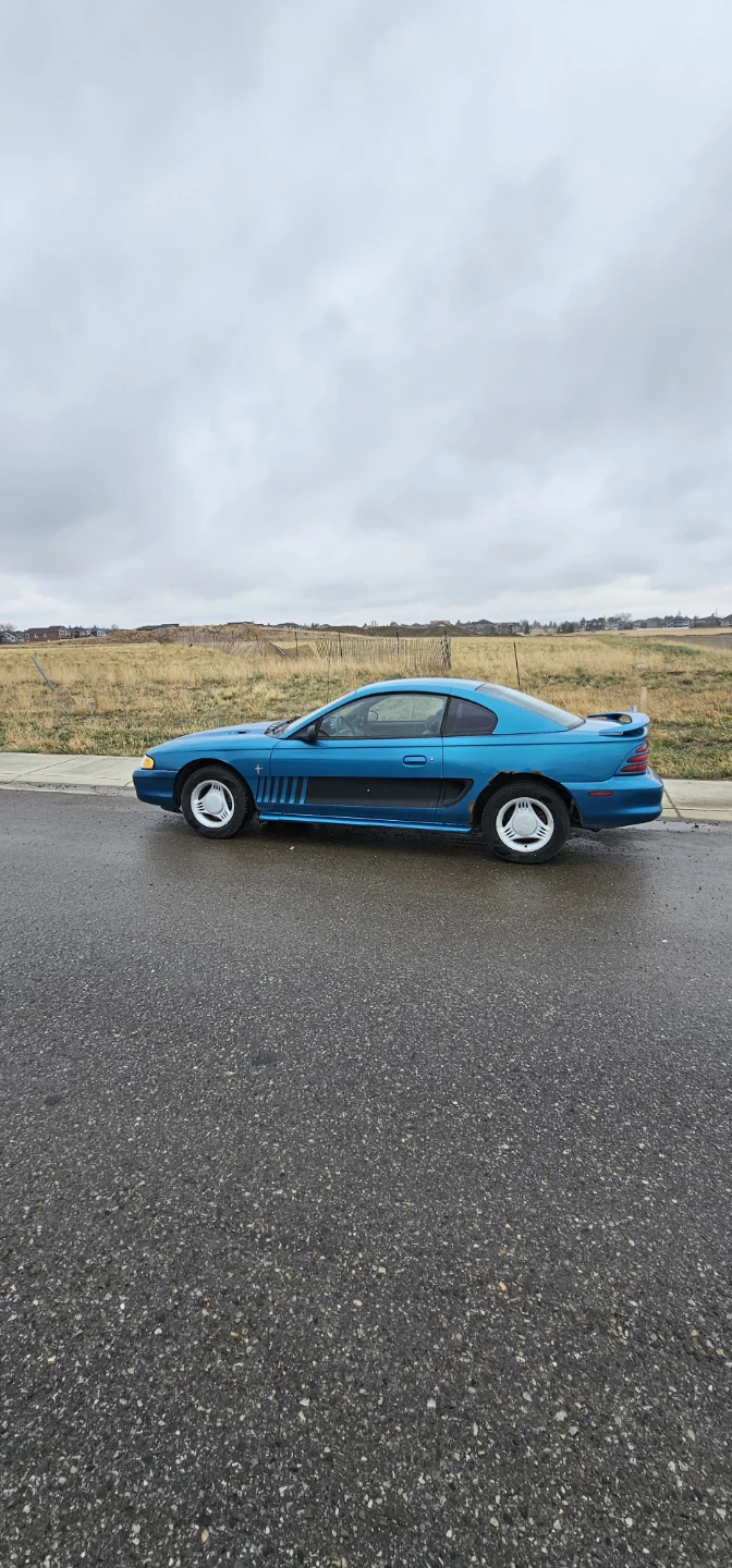 Blue Ford Mustang - photo 3