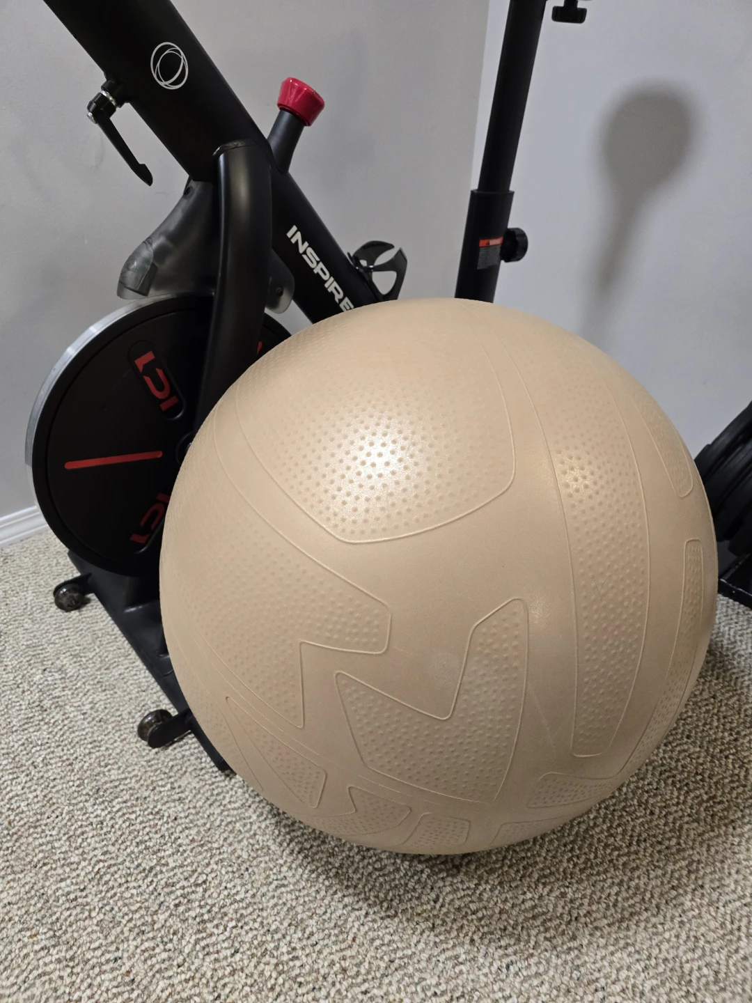 Everlast f.i.t 65cm exercise ball