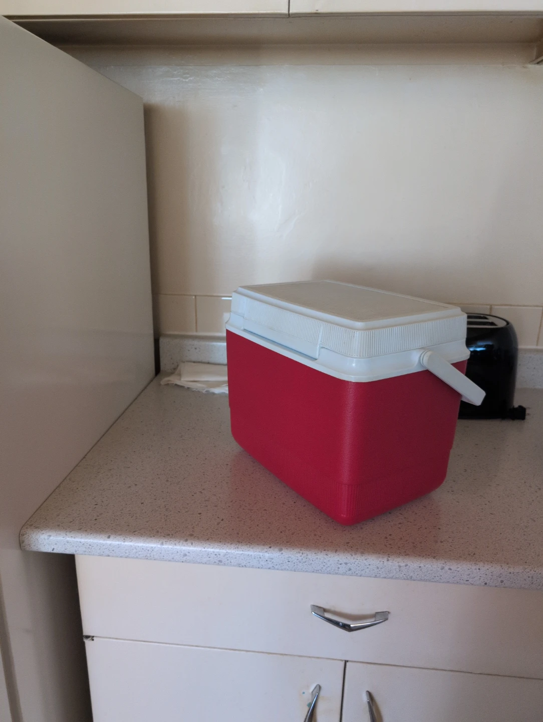 Red and White Cooler with Ice Packs - photo 2