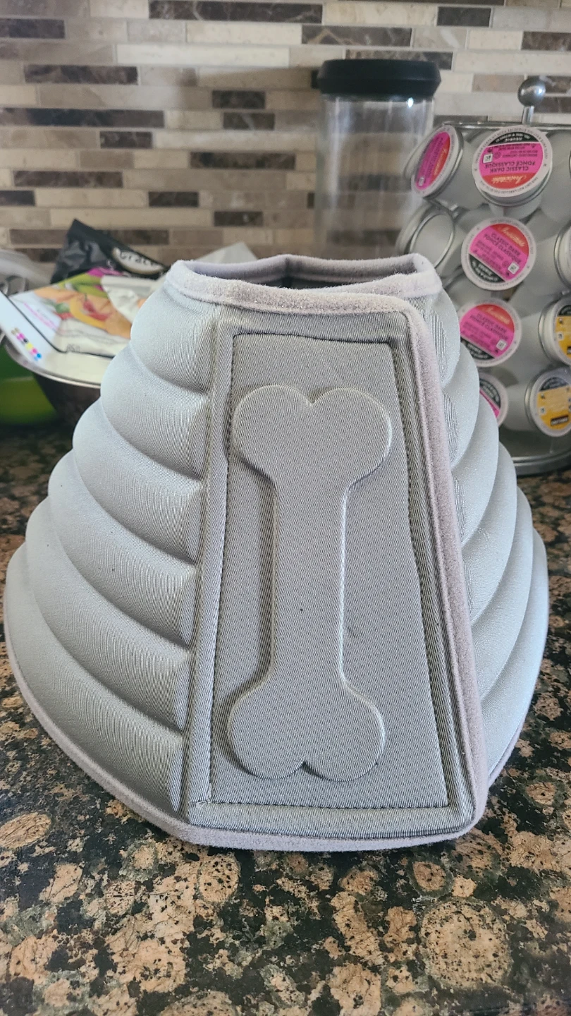 Grey Dog Recovery Collar Cone