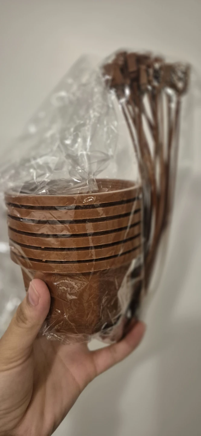 Hanging Plant Pots with Stakes