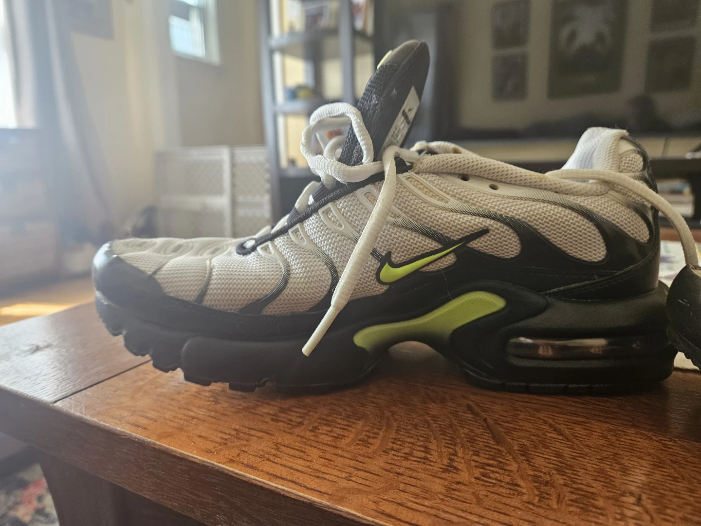 Nike Air Max Plus Tn Tuned Air Sneakers - photo 4