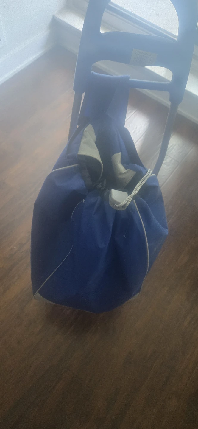 Blue Rolling Shopping Cart