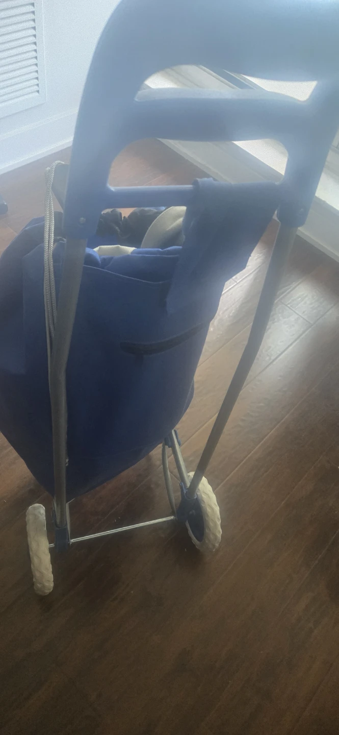 Blue Rolling Shopping Cart - photo 3