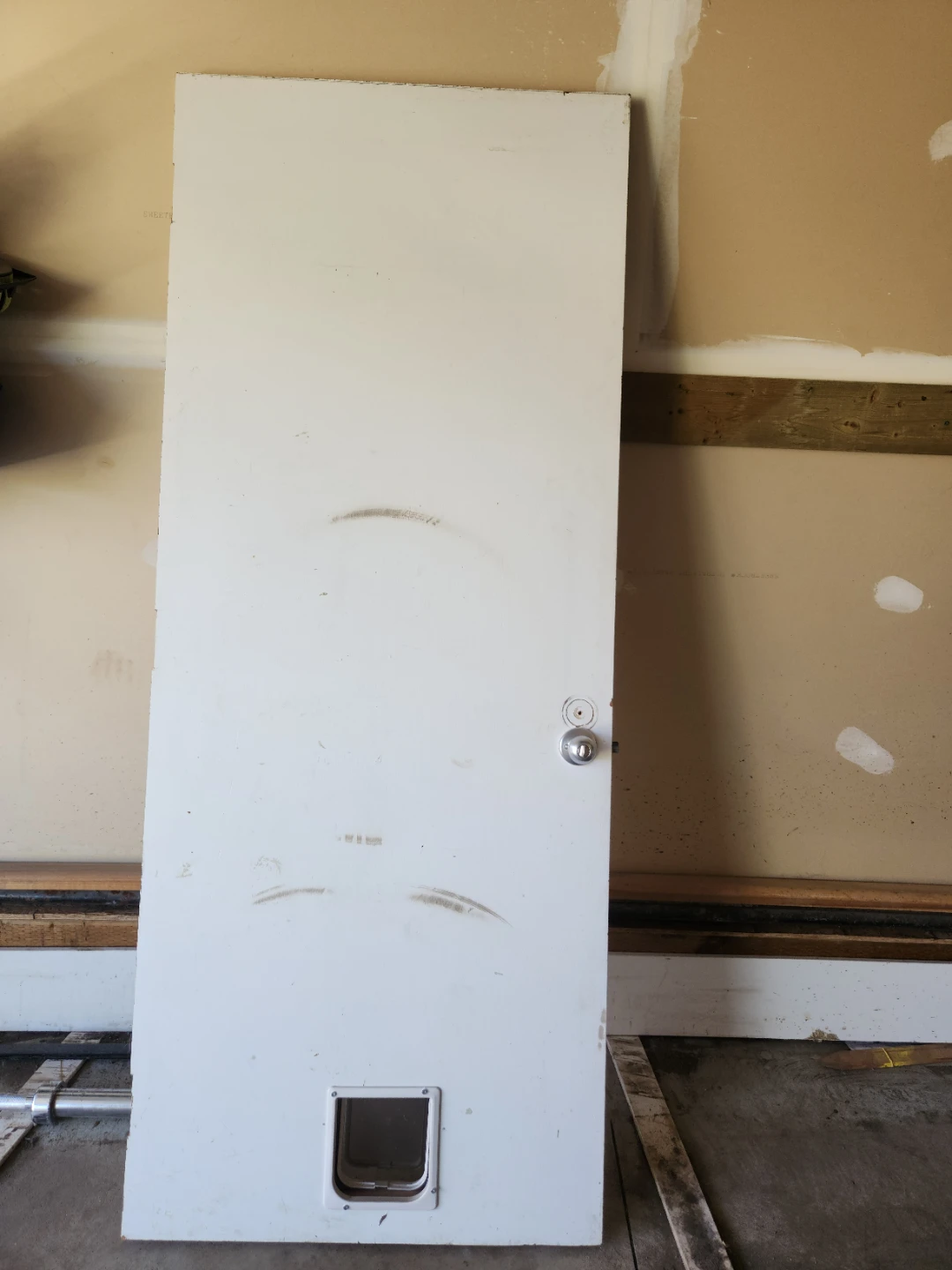 Interior Door with Pet Door - photo 2