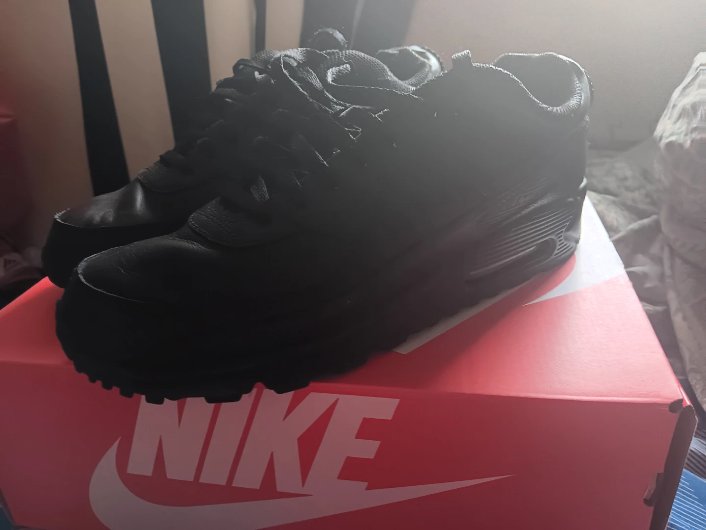 Nike Air Max 90 Shoes
