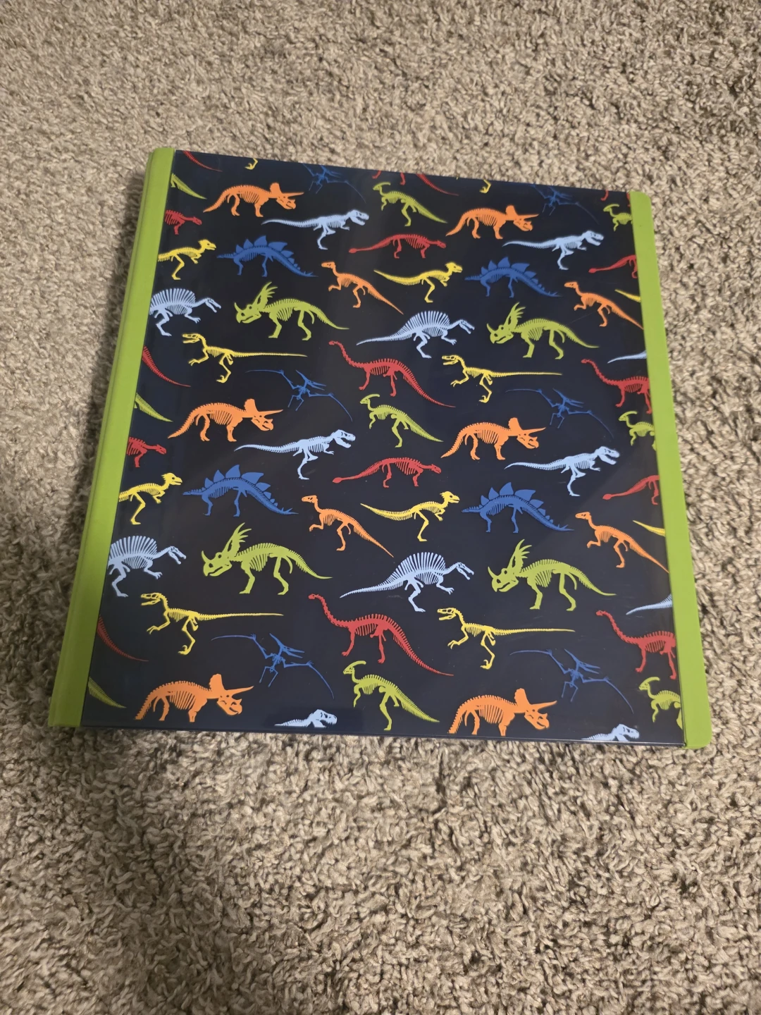 Dinosaur Binder