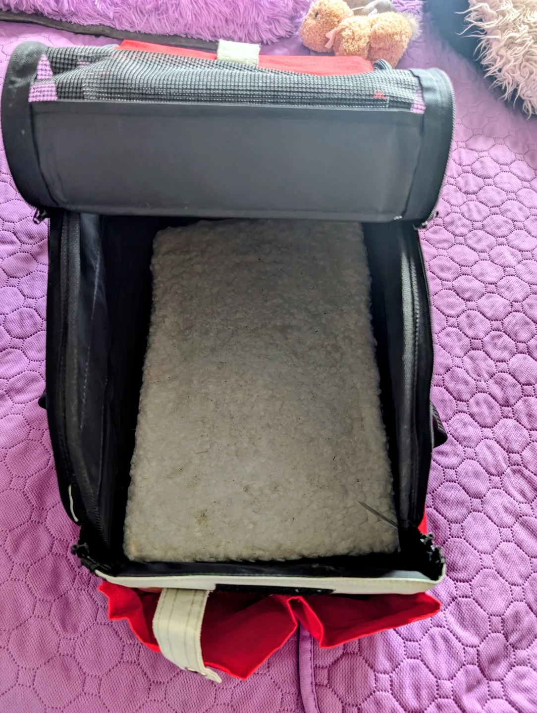 PetLuxe Red and Grey Pet Carrier / Care Seat - photo 2
