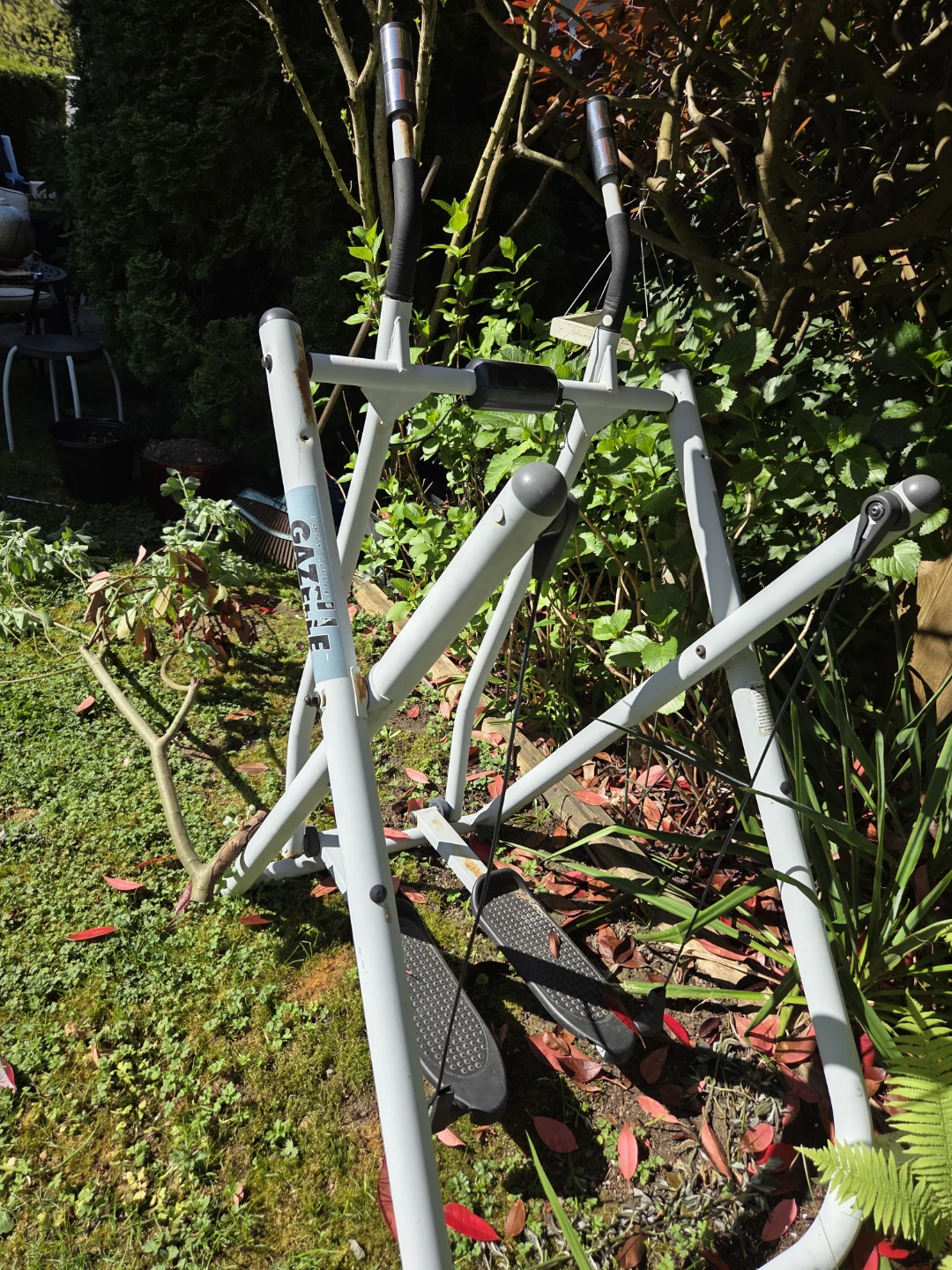 Gazelle Freestyle Air Glider - photo 3