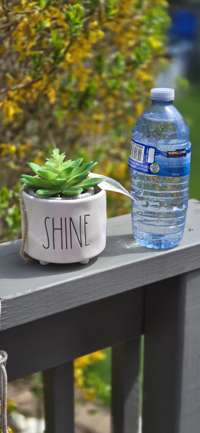 Rae Dunn "SHINE" Holder w Faux Succulent Plant