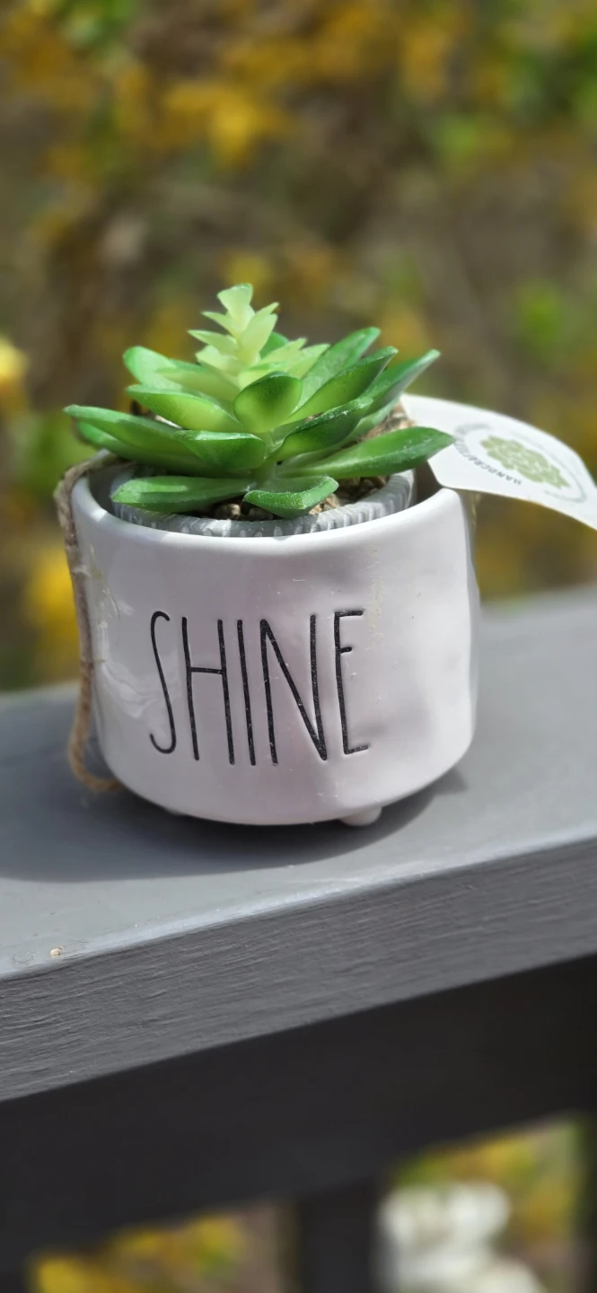 Rae Dunn "SHINE" Holder w Faux Succulent Plant - photo 2