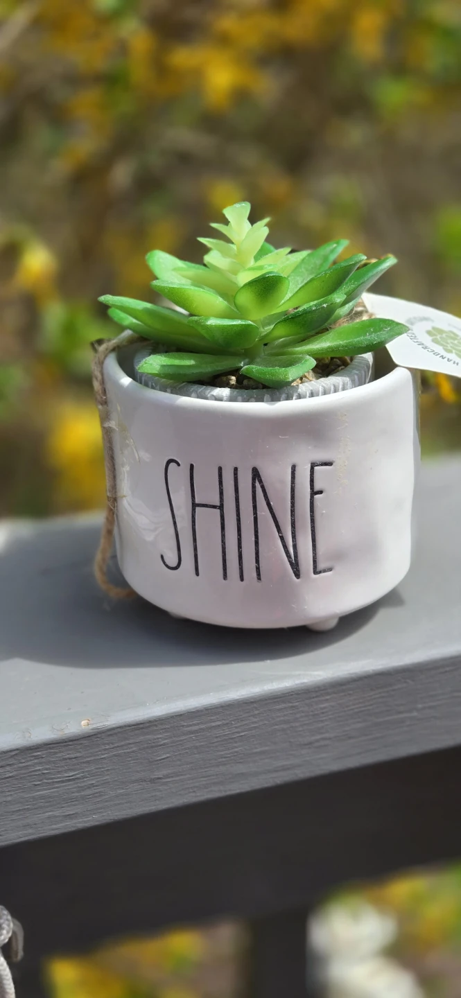 Rae Dunn "SHINE" Holder w Faux Succulent Plant - photo 3