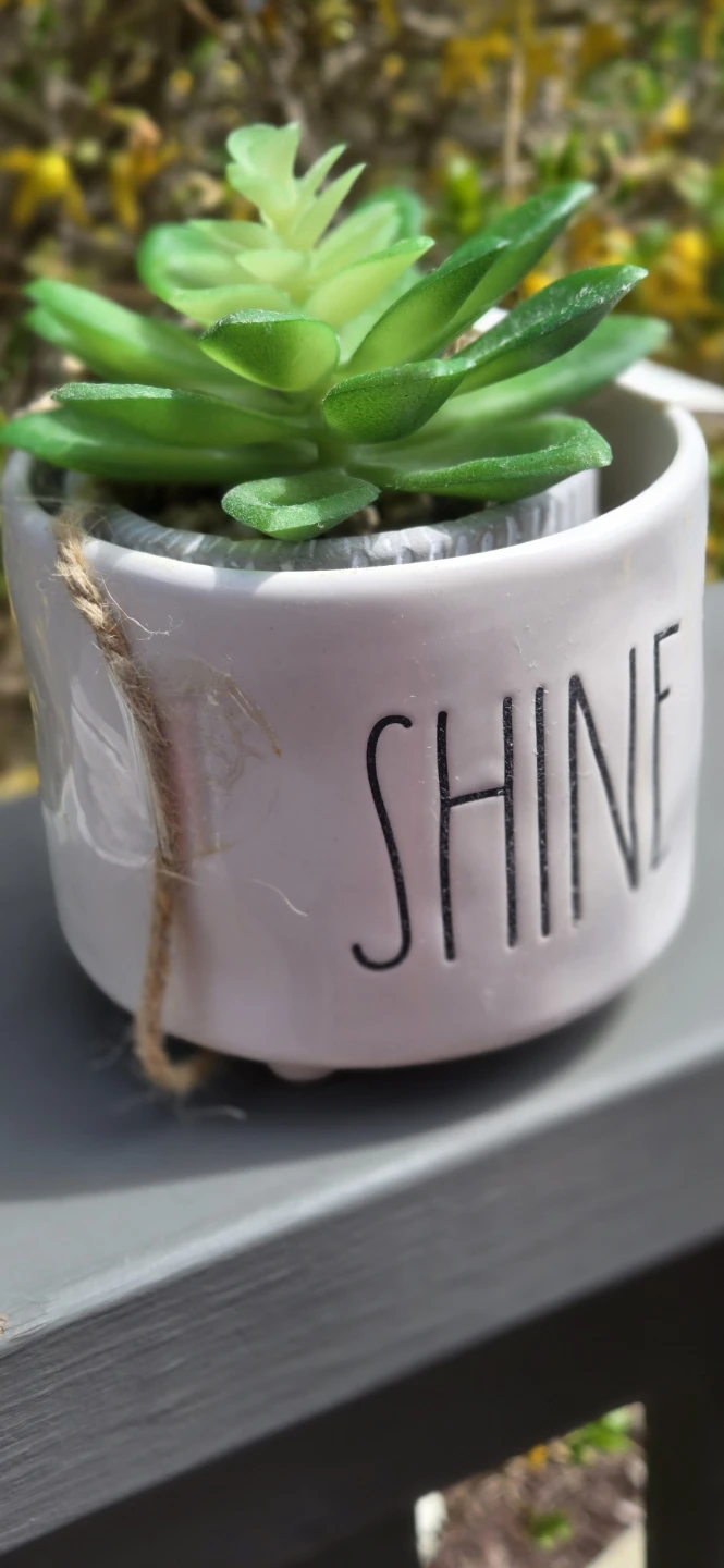 Rae Dunn "SHINE" Holder w Faux Succulent Plant - photo 5