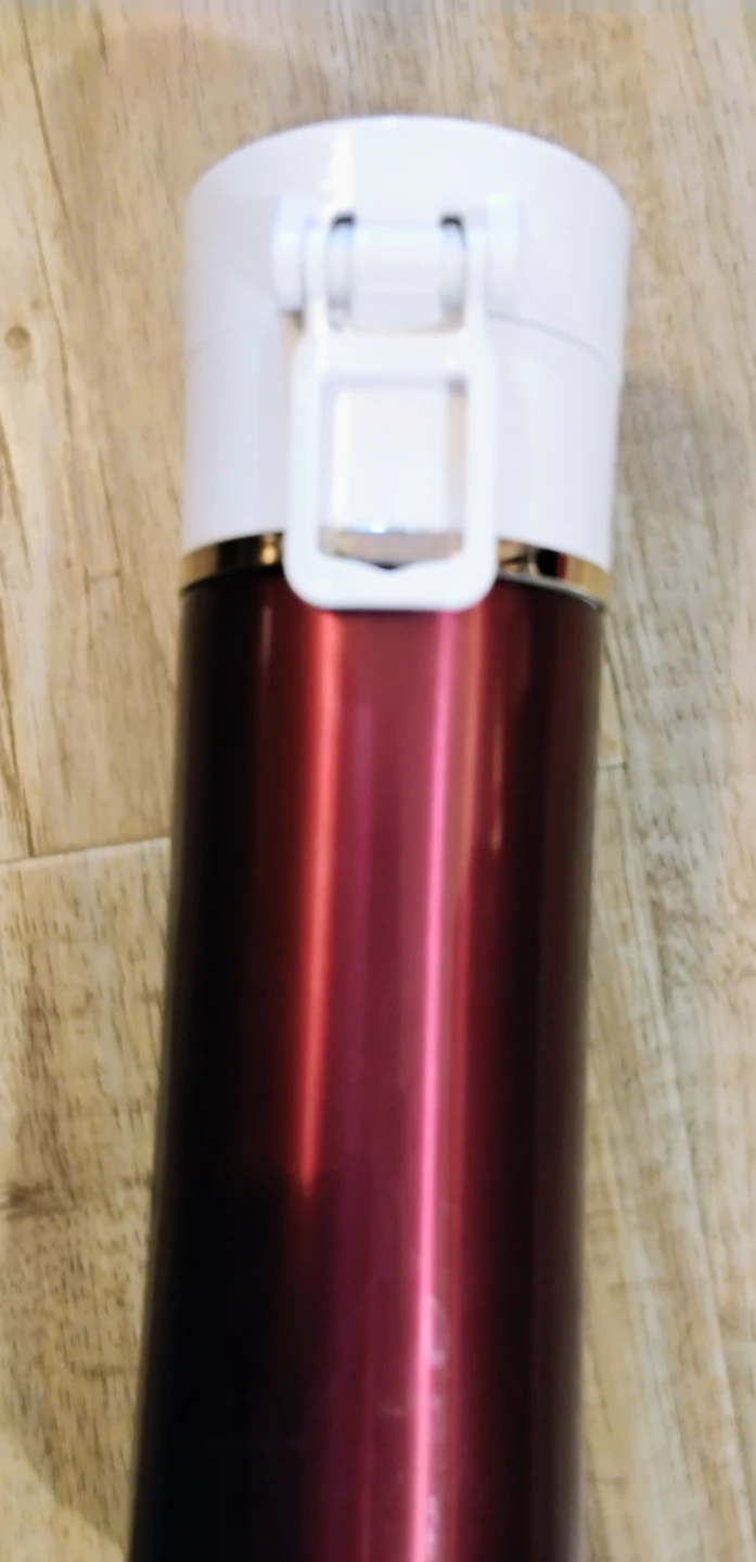 Thermos Vacuum Insulated Stainless Steel Beverage Bottle 16 oz - photo 3