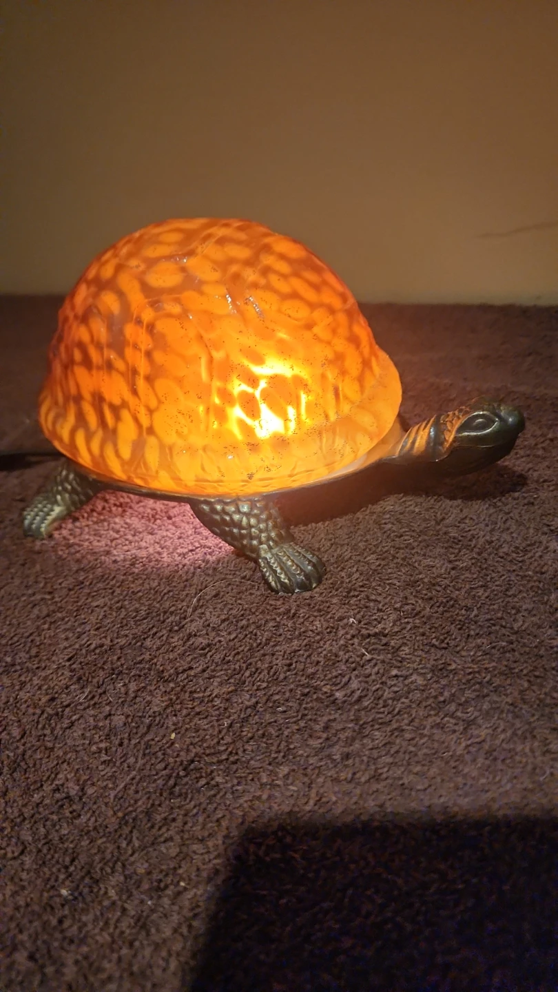 Turtle Accent Lamp