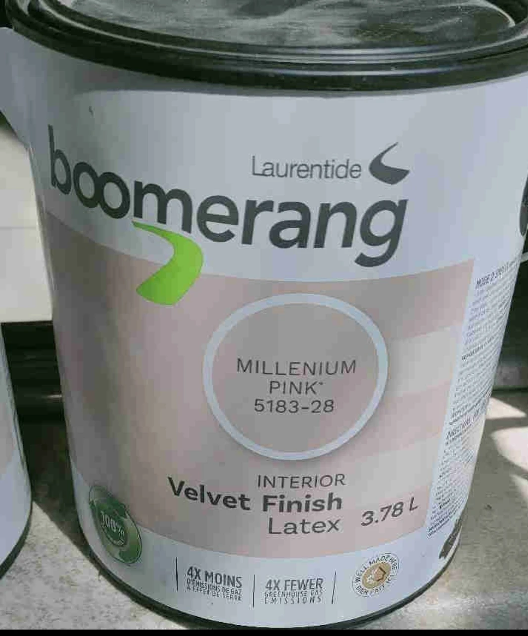 Boomerang Millenium Pink Velvet Finish Interior Latex Paint - photo 2