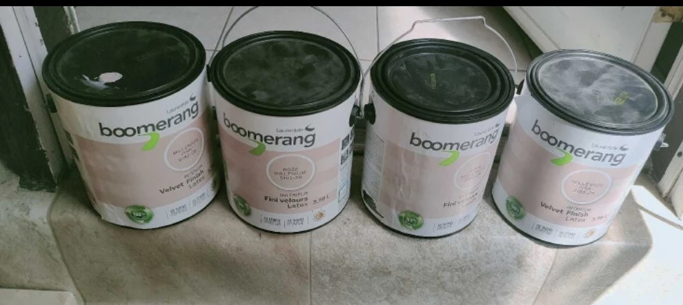 Boomerang Millenium Pink Velvet Finish Interior Latex Paint - photo 3