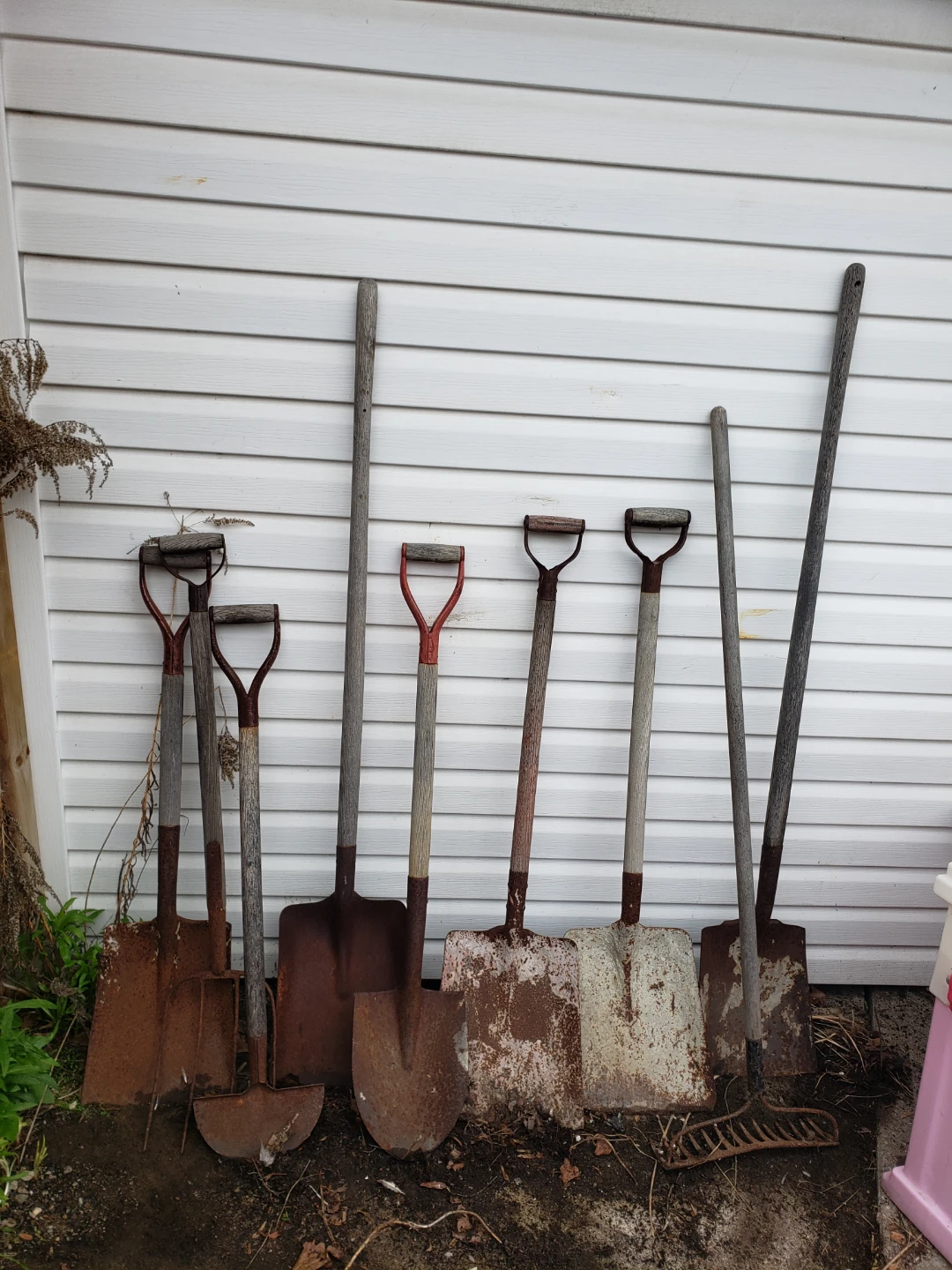 Assorted Garden Tools - Shovels, Hoe & Rake