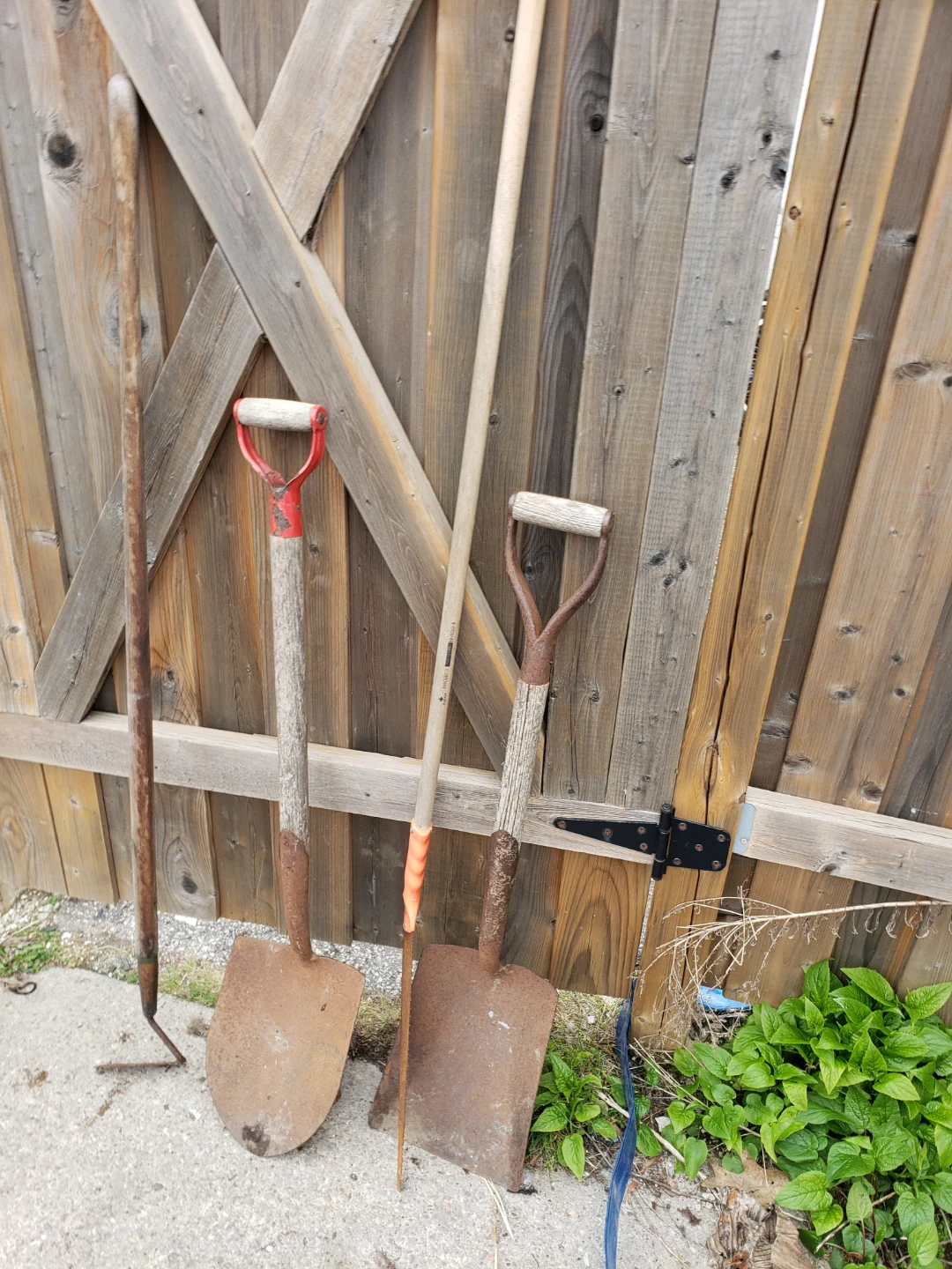 Assorted Garden Tools - Shovels, Hoe & Rake - photo 2