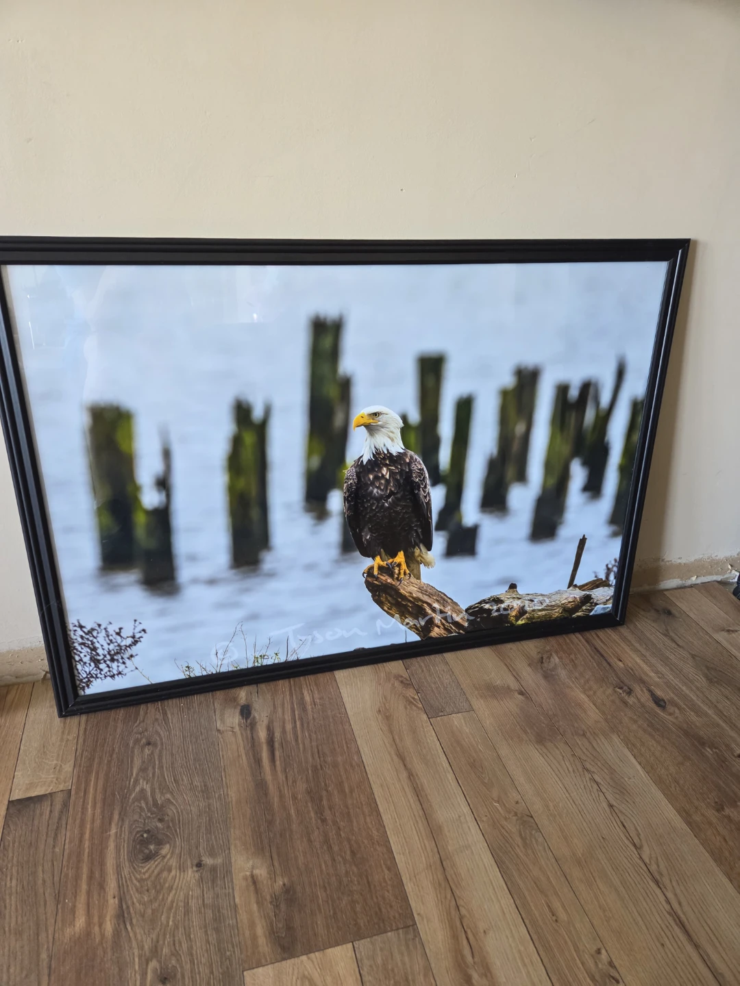 Marco Frame 10/2020