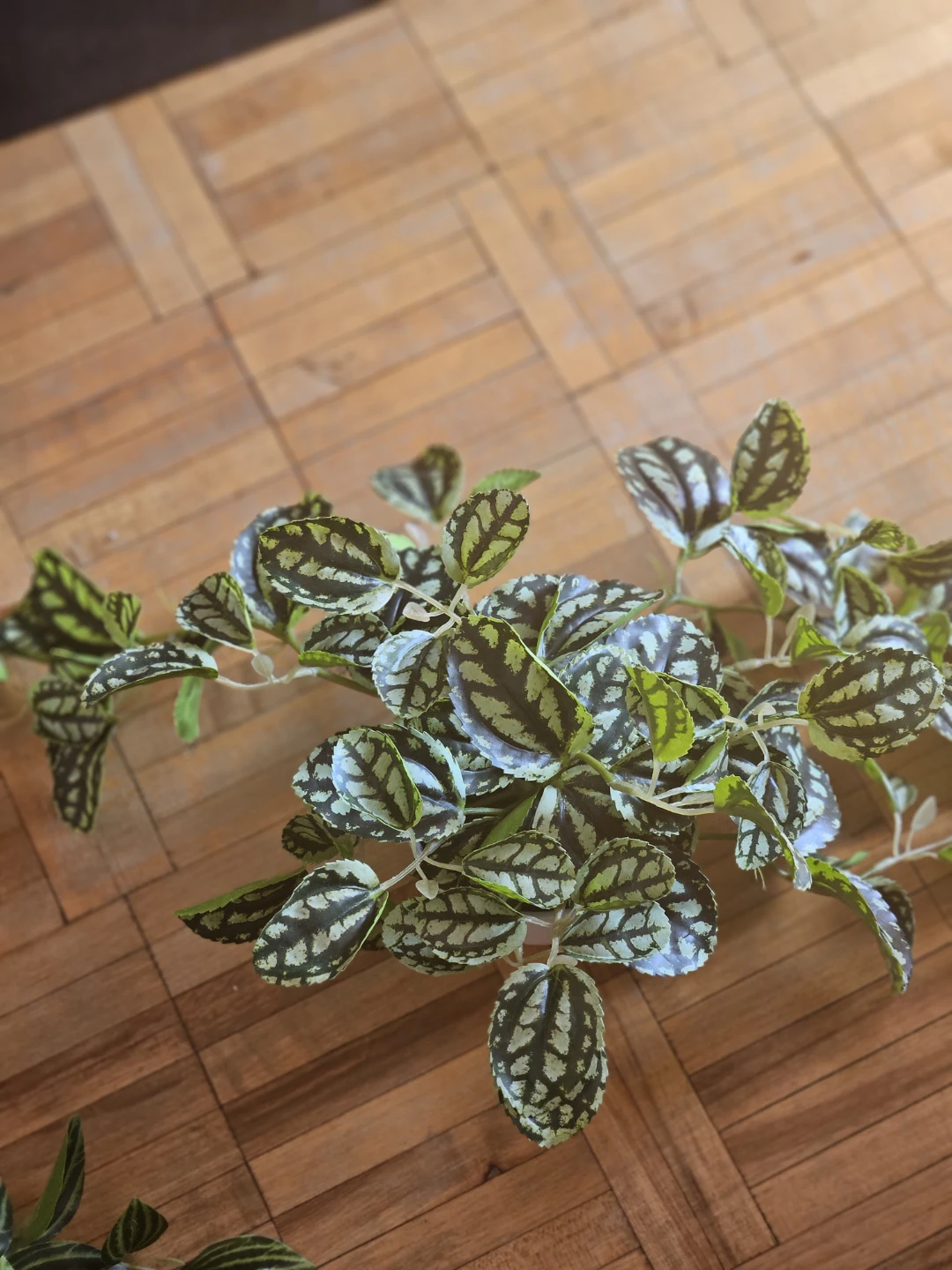 Artificial Pilea Plant 2 - photo 2