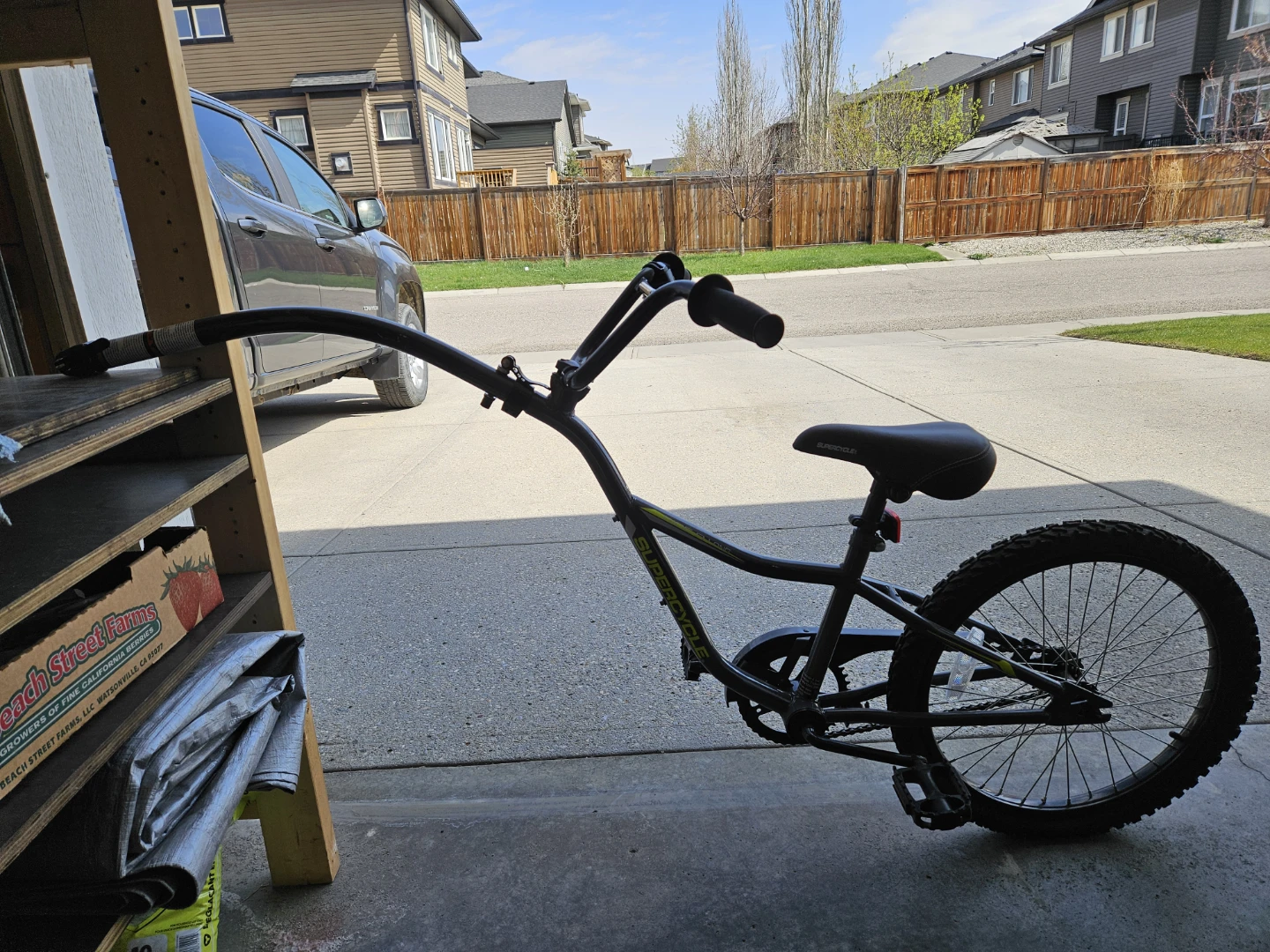 Supercycle Ride-A-Long Bike Trailer - photo 4