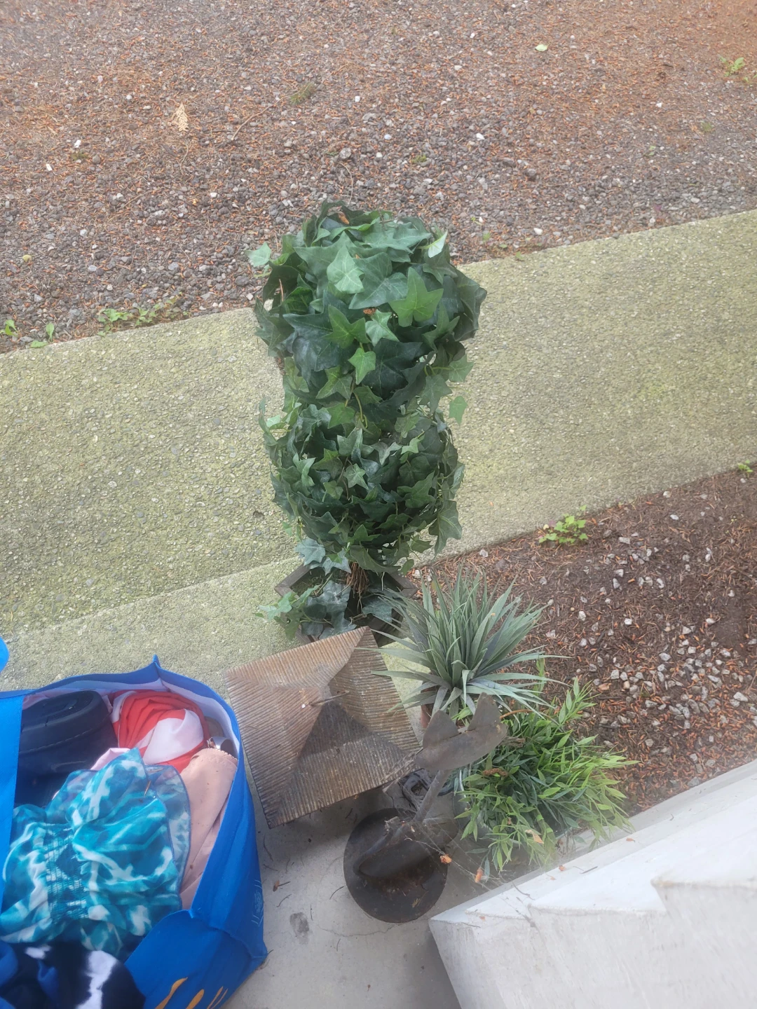 Free fake plants, home decor n toys