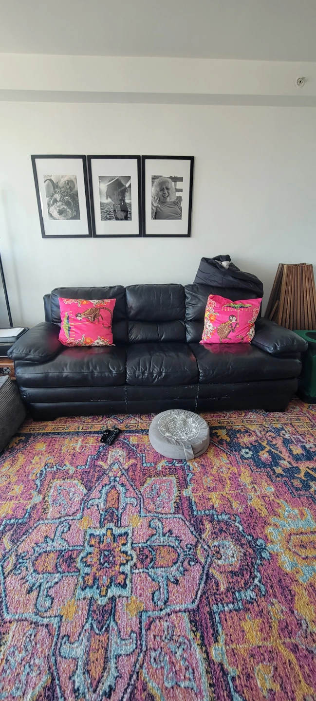 Black Leather Sofa
