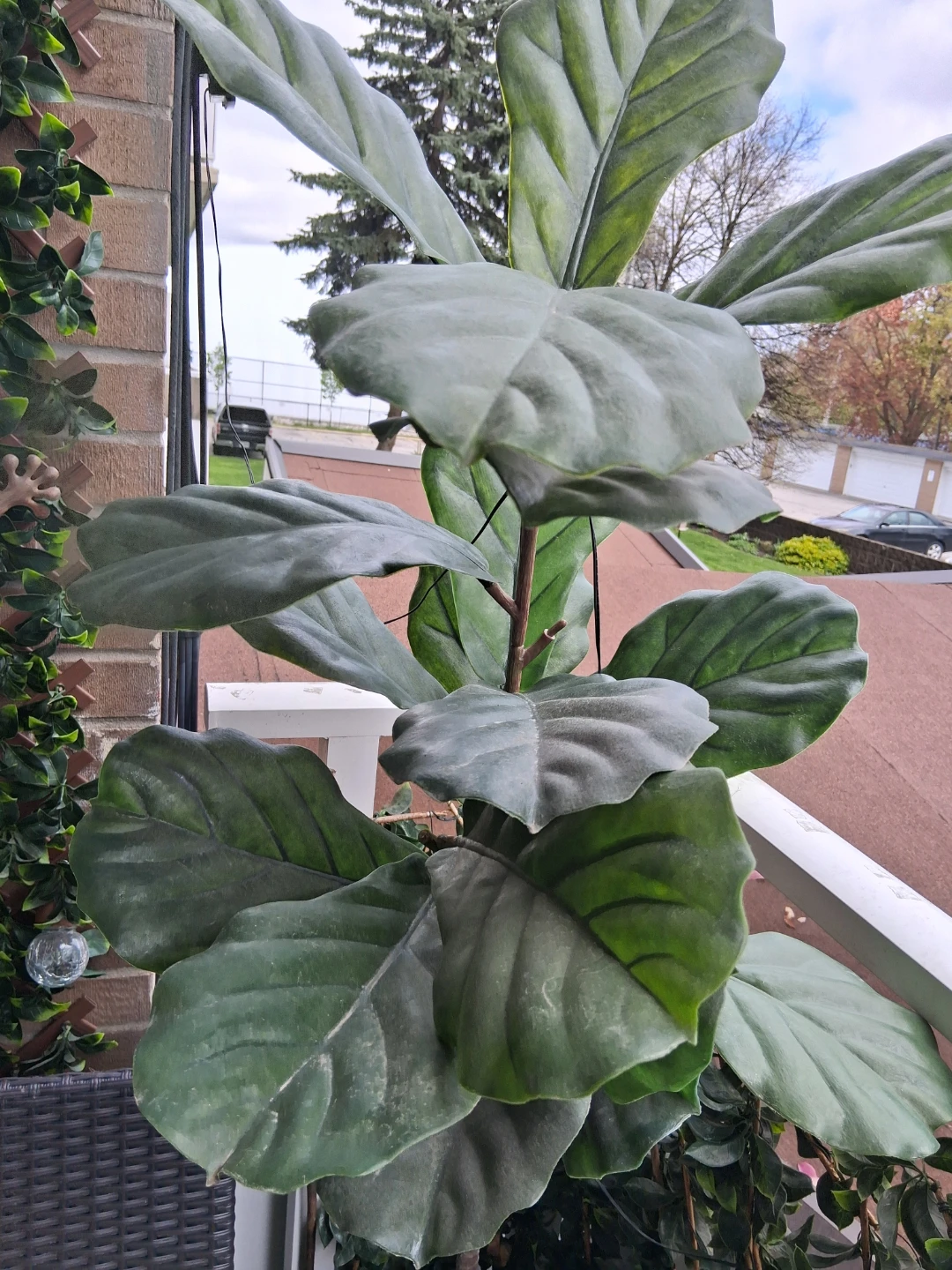 Artificial Fiddle Leaf Fig Tree in White Pot with Stand - photo 3