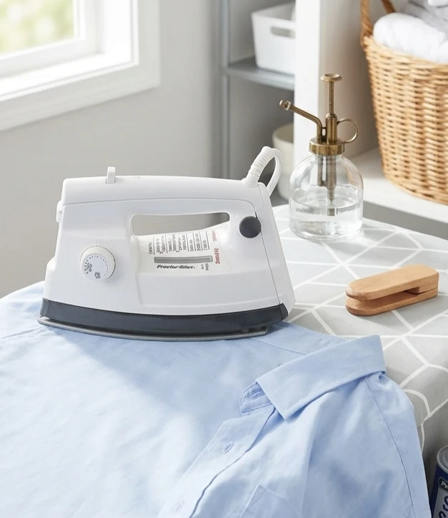 Proctor Silex Steam Iron