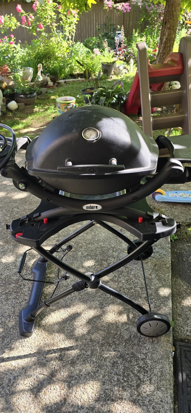 Weber Q Portable Gas Grill