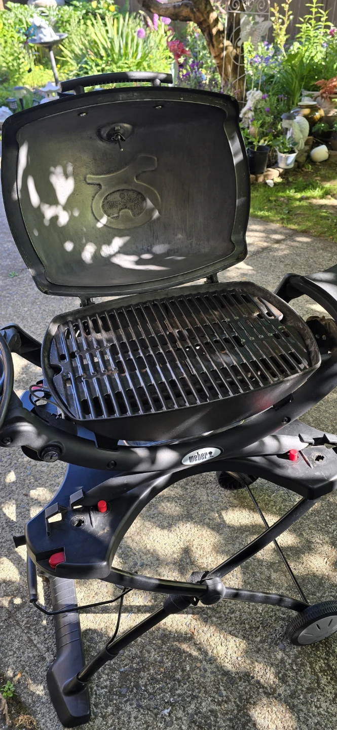 Weber Q Portable Gas Grill - photo 2