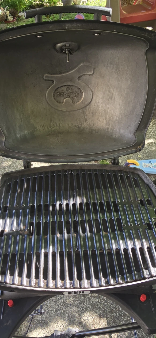 Weber Q Portable Gas Grill - photo 3