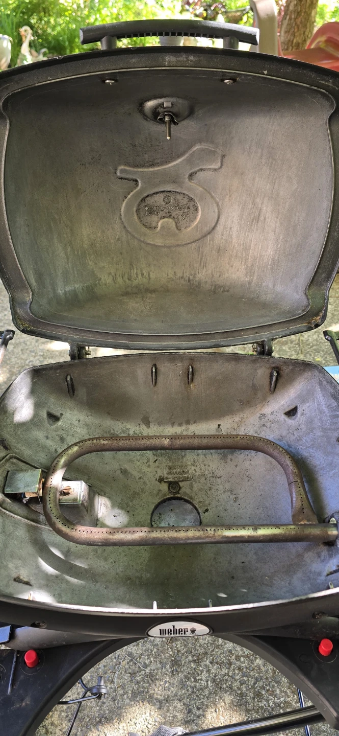 Weber Q Portable Gas Grill - photo 4