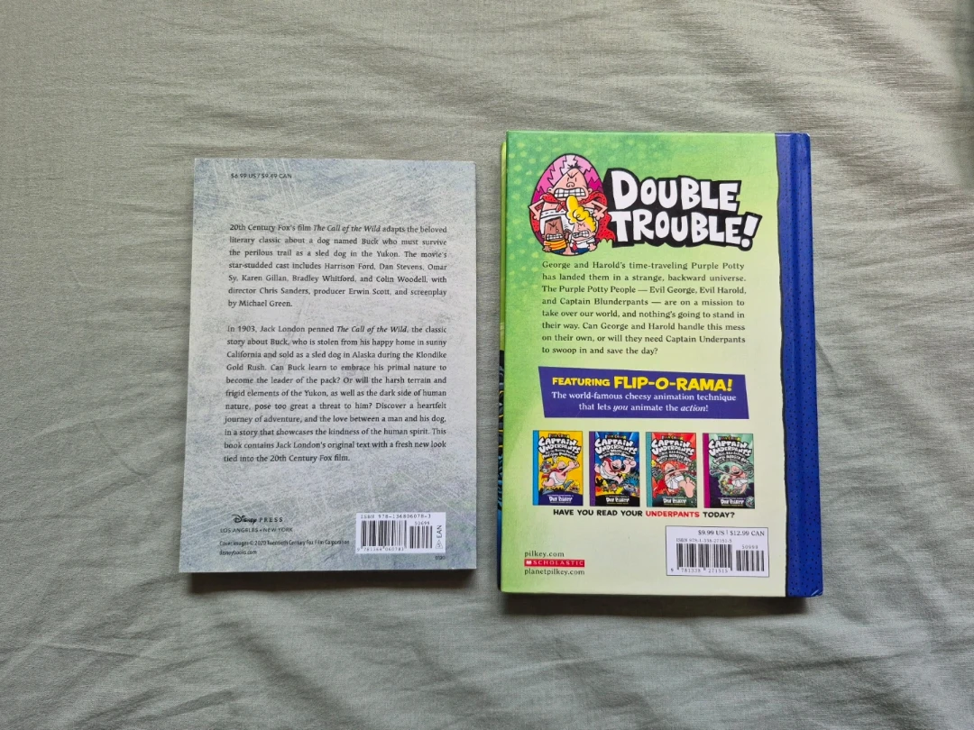 Assorted books - photo 4