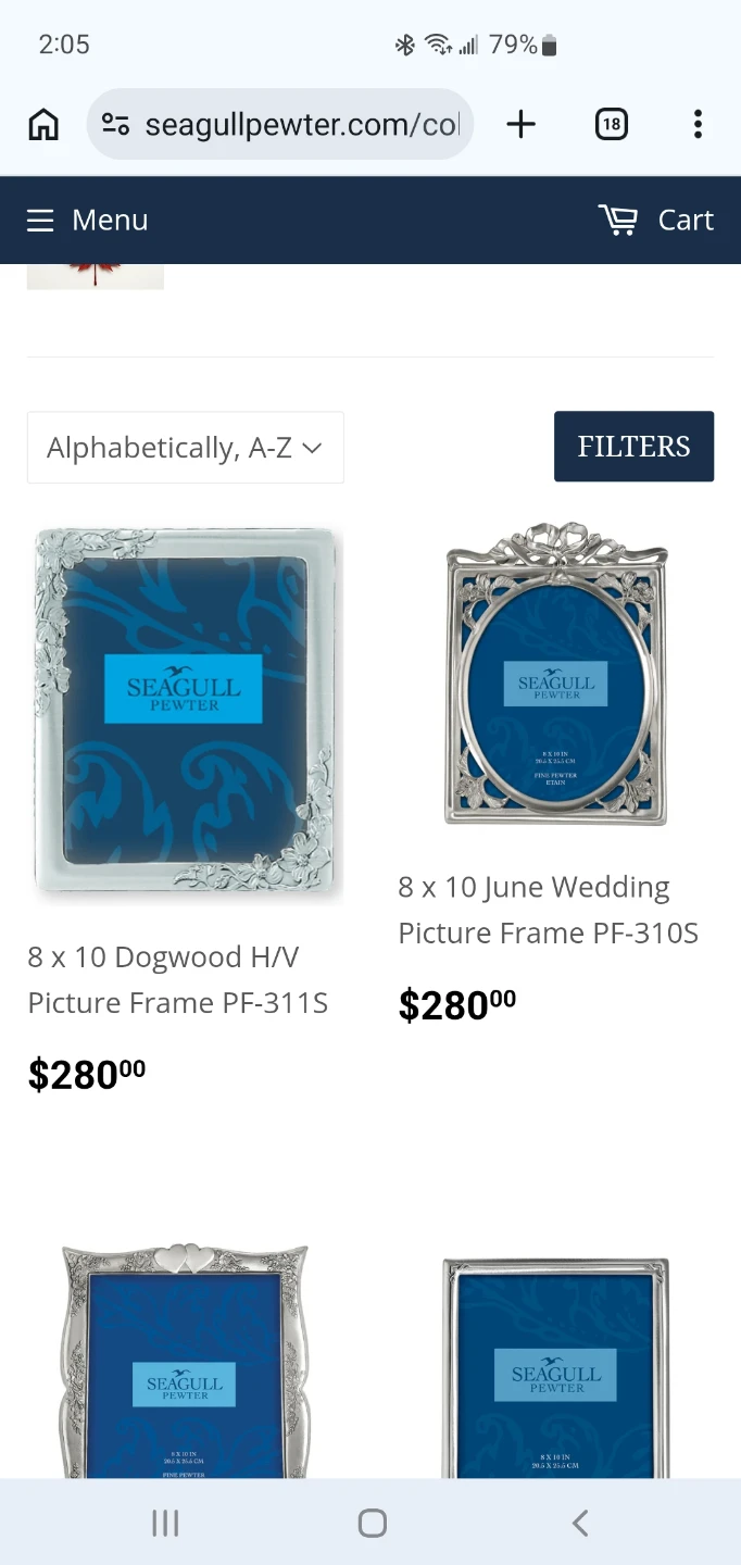 Seagull Pewter 8x10 Picture Frame - photo 3
