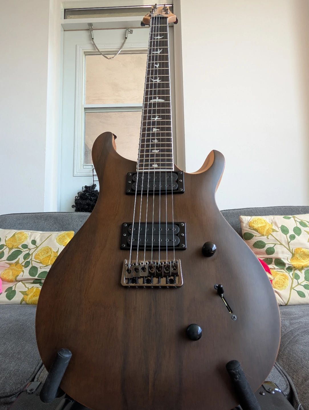 PRS SE Mark Holcomb Electric Guitar