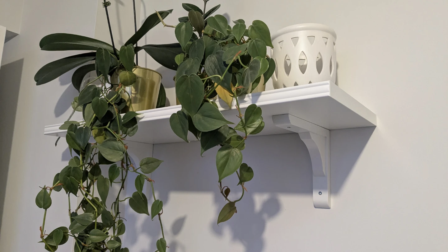 White Floating Ika Shelf