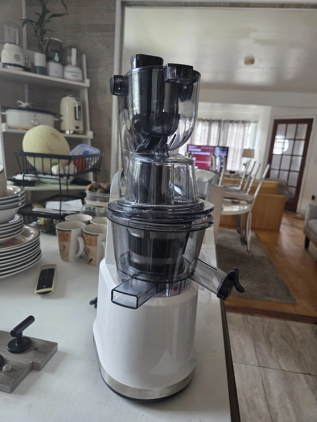 SIFENE Slow Juicer - photo 3