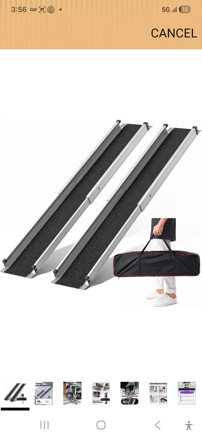 Ramps (Pair) - 600 lbs Capacity