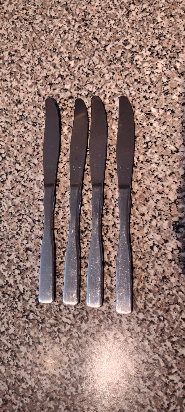 Set of 4 Stainless Steel Dinner Knives