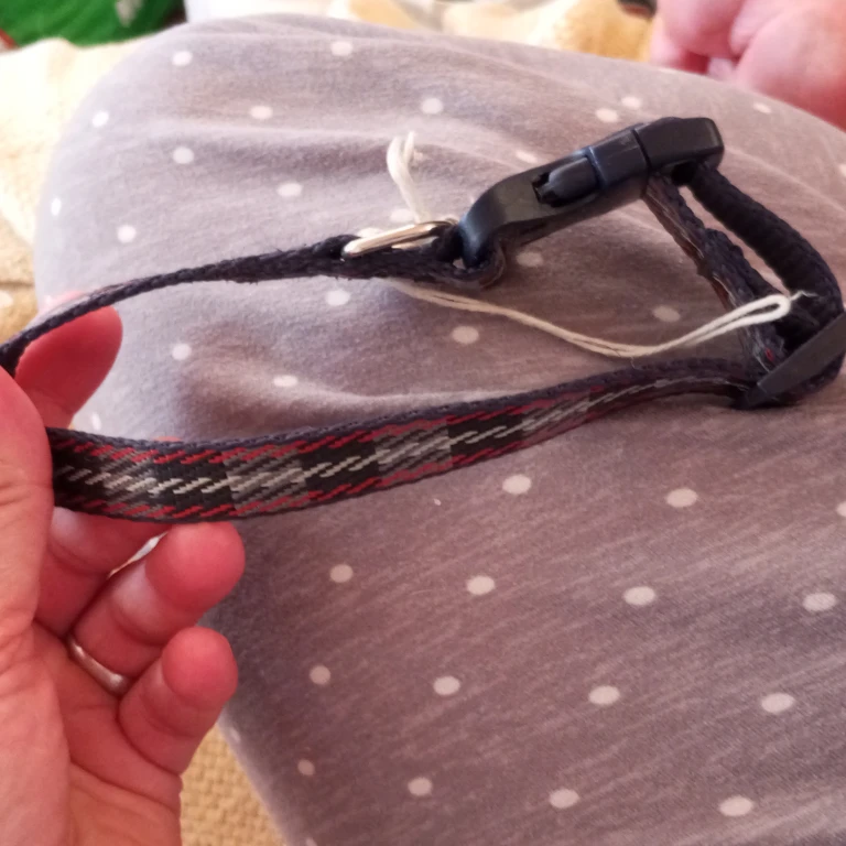 Adjustable Dog Collar with Buckle - photo 2