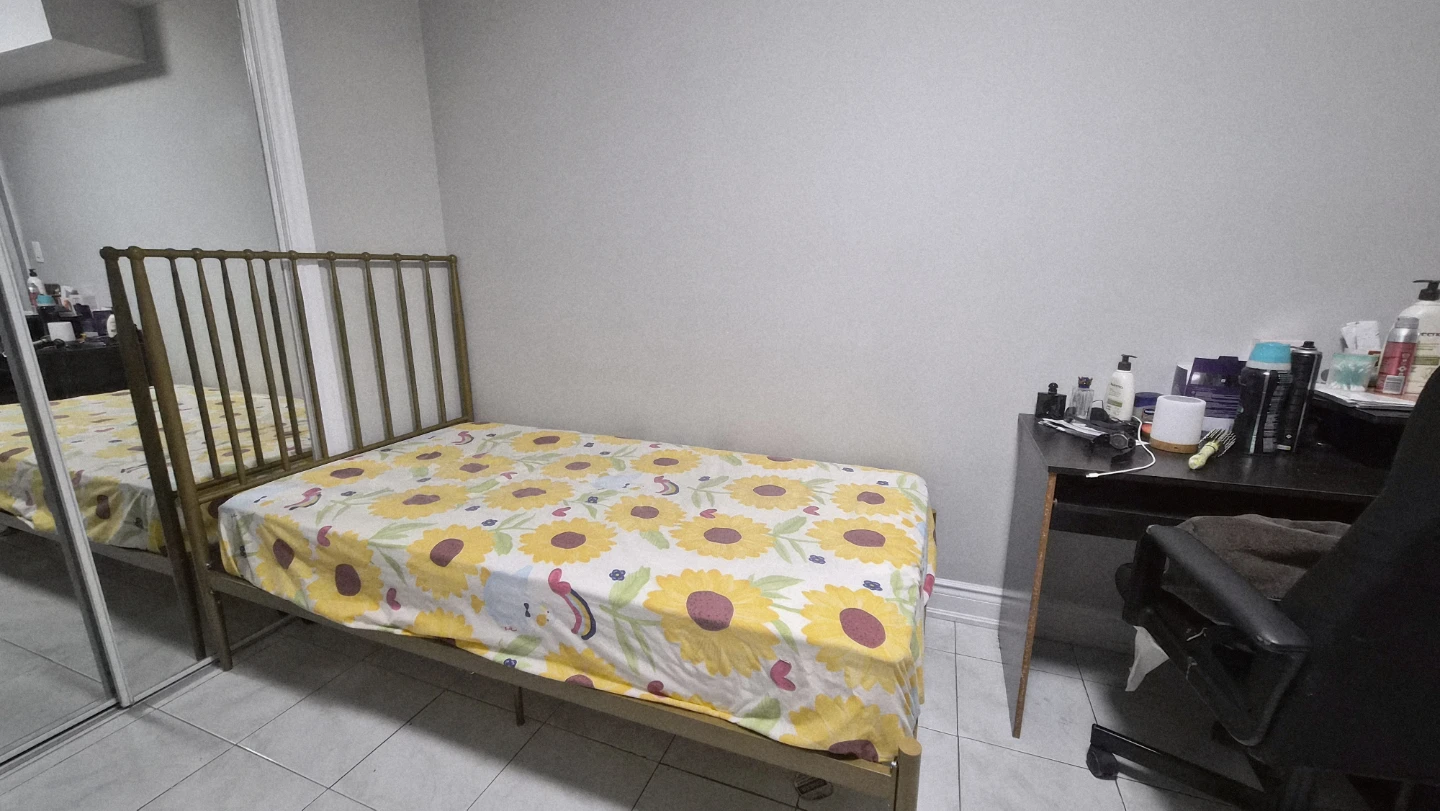 Single Metal Bed Frame