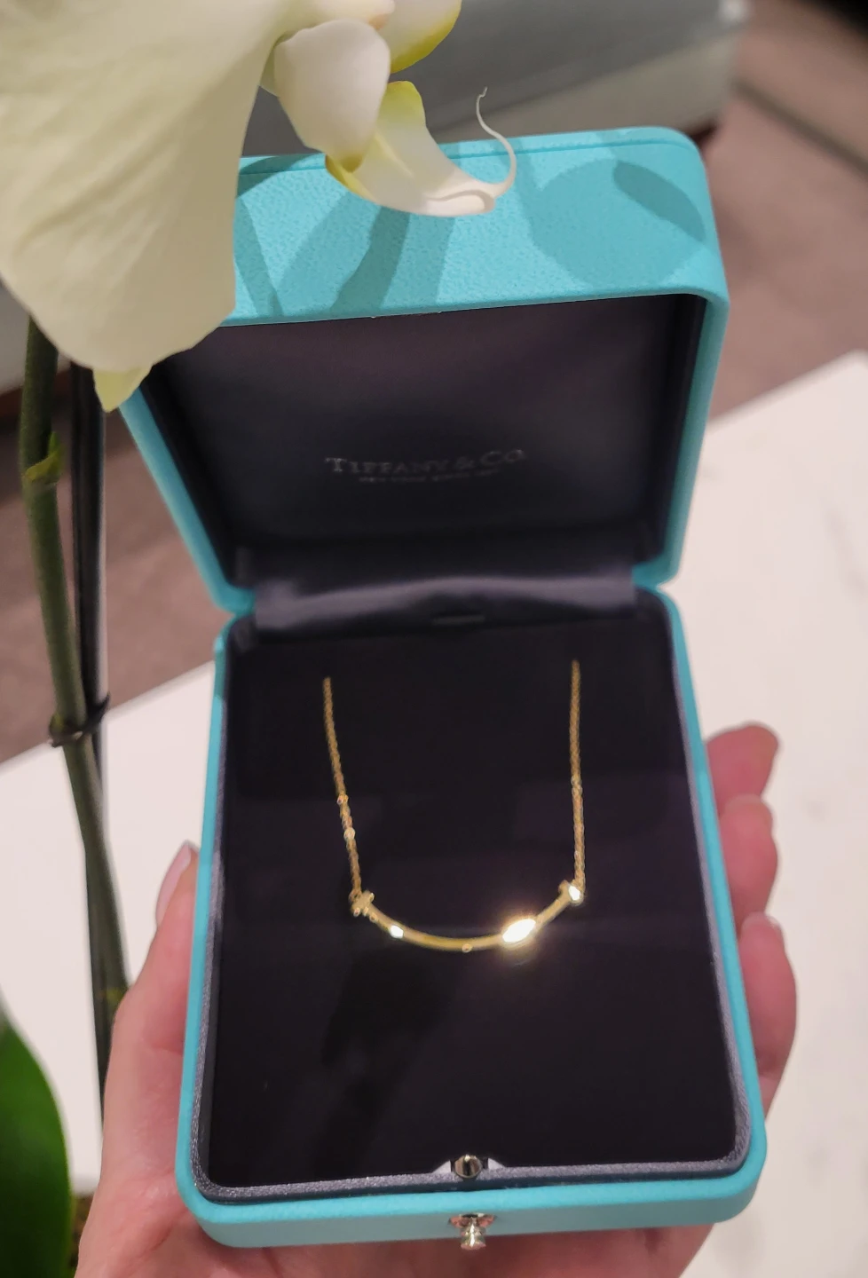 [Authentic] Tiffany & Co. T Smile Necklace (Small) - Full Set - photo 2