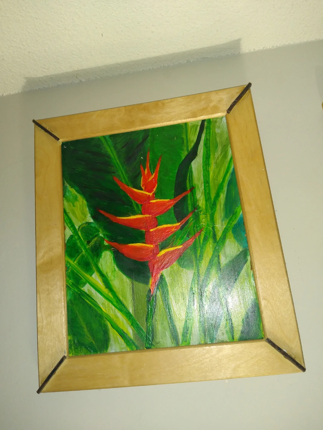Heliconia